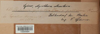 Image Associated With the Occurence